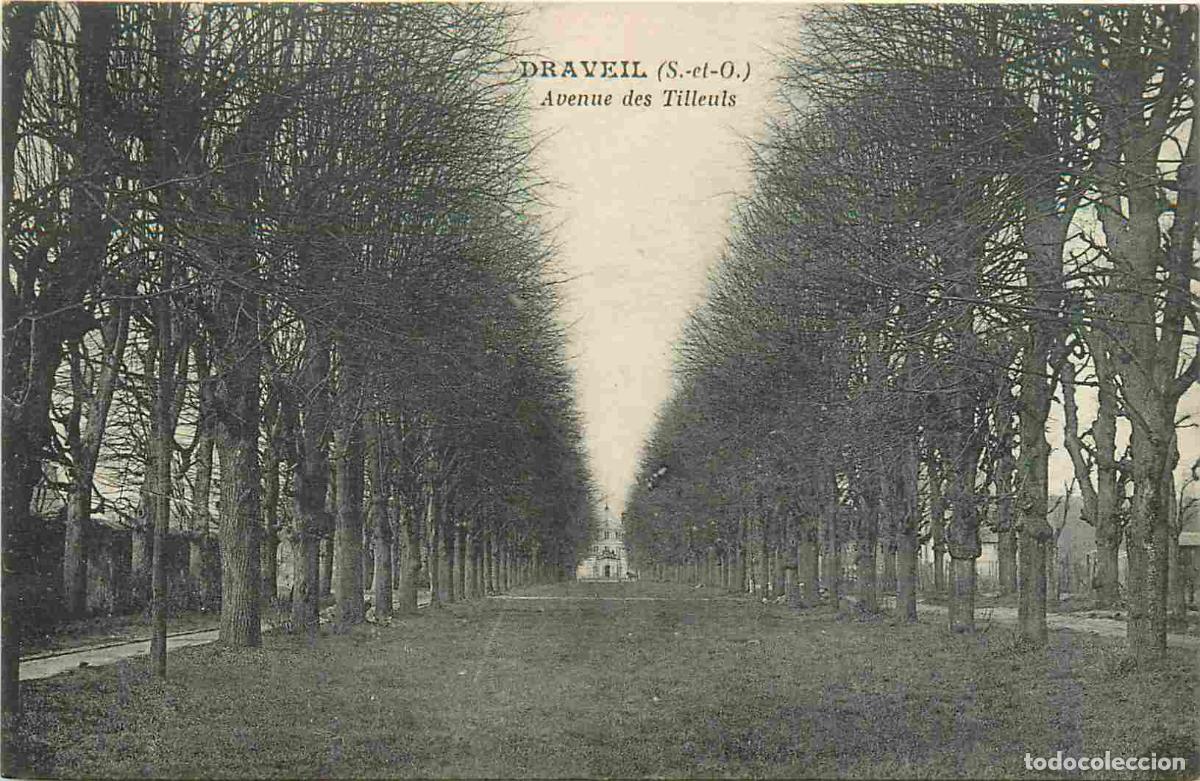 Postkarten: France - 91 - Draveil - Avenue des Tilleuls - CPA - Voir Scans Recto-Verso