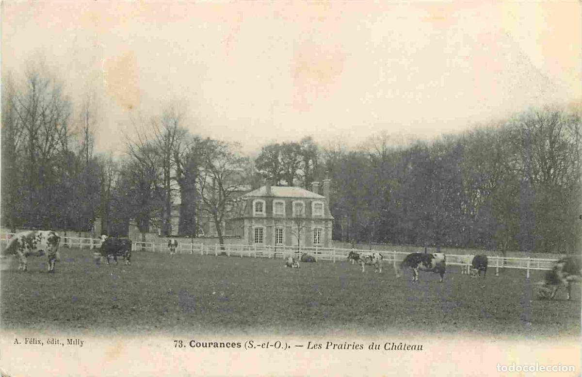 Postais: France - 91 - Courances - Les Prairies - Vaches - CPA - Oblit&eacute;ration de 1904 - Voir Scans Recto-Vers