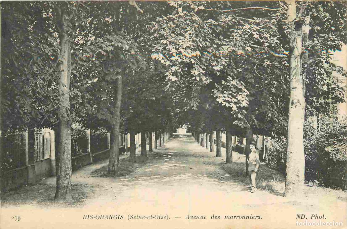 Postcards: France - 91 - Ris Orangis - Avenue des marronniers - Anim&eacute;e - CPA - Voir Scans Recto-Verso