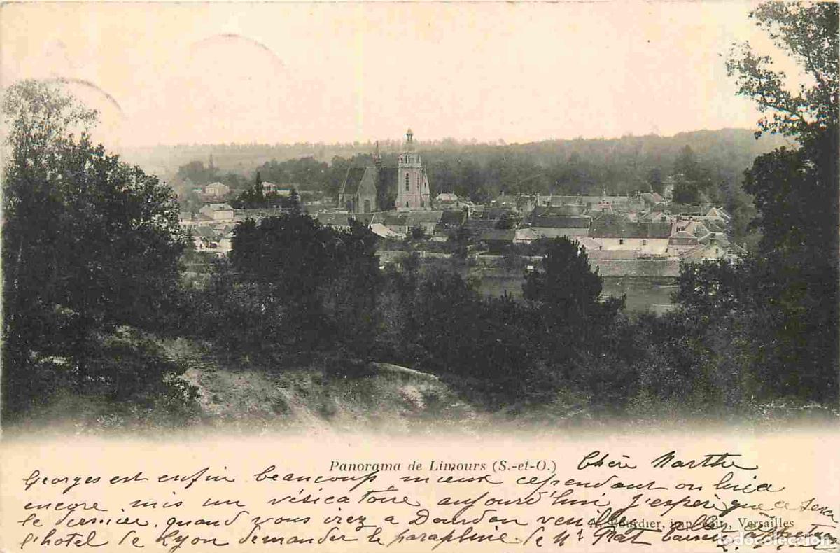 Postais: France - 91 - Limours - Panorama - Pr&eacute;curseur - CPA - Oblit&eacute;ration de 1903 - Voir Scans Recto-Verso