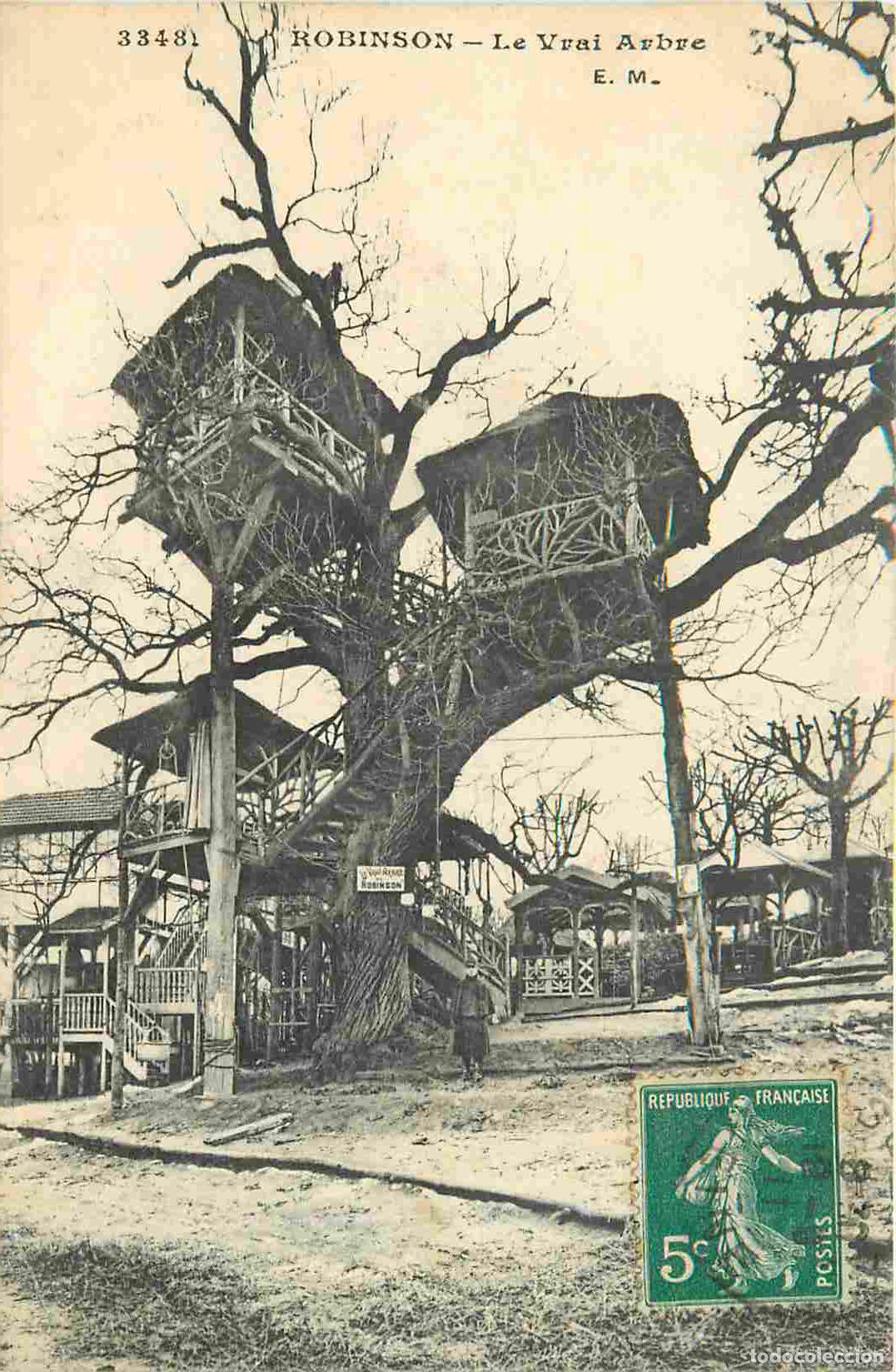Postales: France - 92 - Robinson - Le Vrai Arbre - CPA - Oblit&eacute;ration de 1911 - Voir Scans Recto-Verso