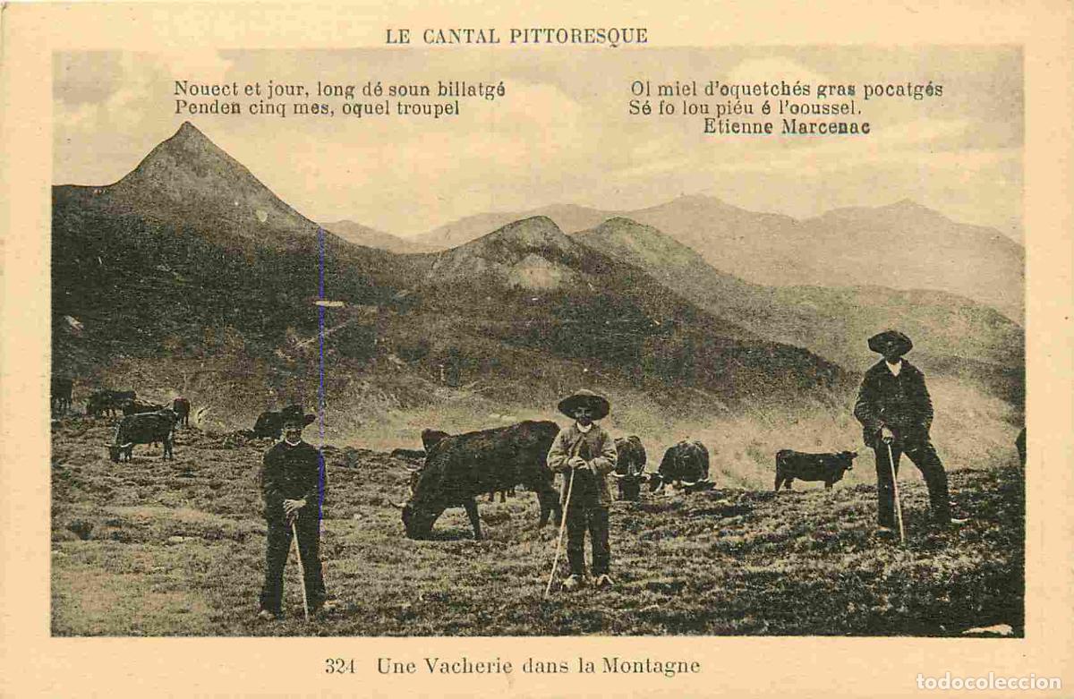 Postais: France - 15 - Cantal - Une Vacherie dans la Montagne - Anim&eacute;e - Folklore - Sc&egrave;ne et Types - CPA - Vo