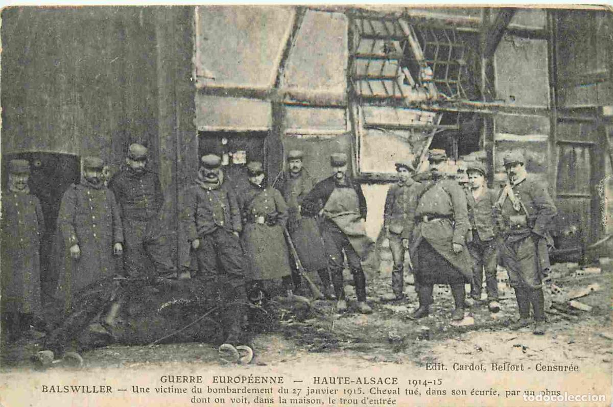 Postais: France - 68 - Balswiller - Guerre 1914-1918 - Une victime du bombardement du 27 janvier 1915 - Cheva