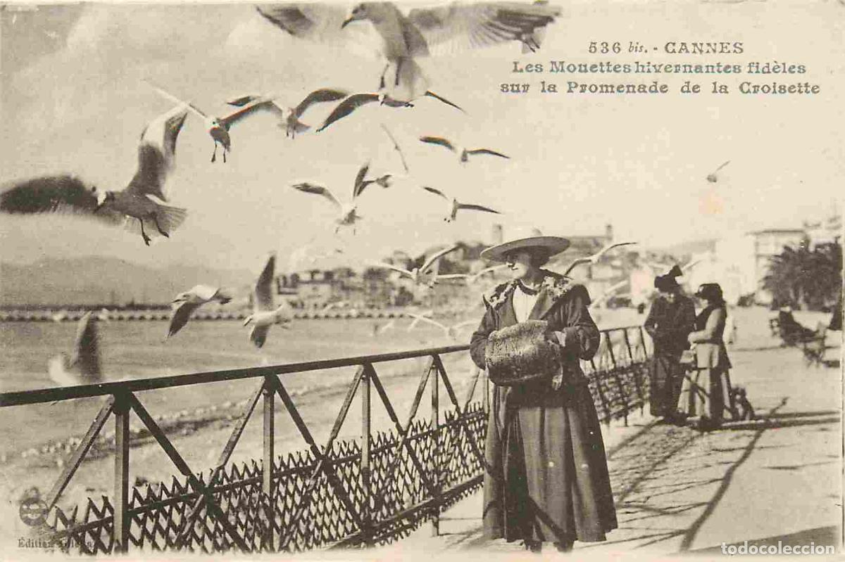 Postais: France - 06 - Cannes - Les Mouettes hivernantes fid&egrave;les suv la Promenade de la Croisette - Anim&eacute;e -