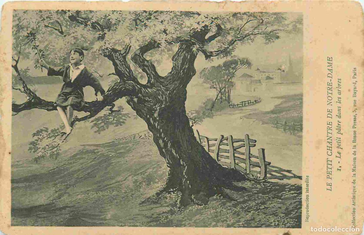 Postais: France - 75 - Paris - Le Petit Chantre de Notre Dame - 1 le petit patre dans les arbres - CPA - Etat