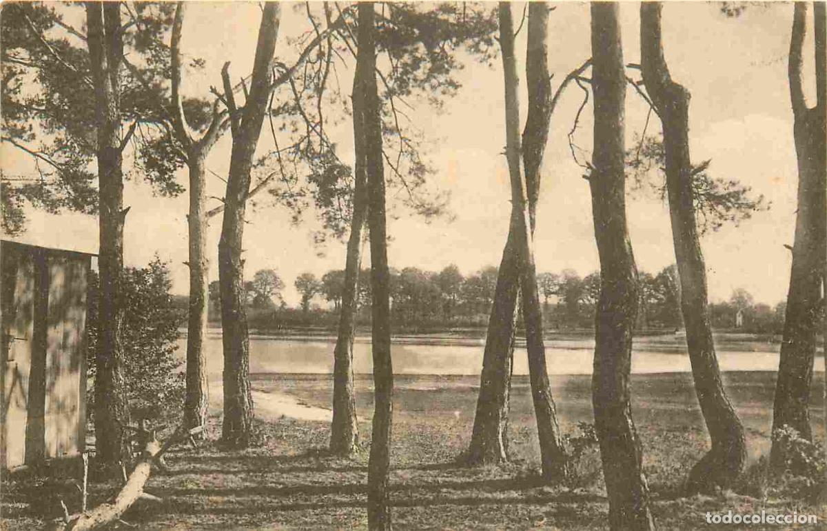 Cartoline: France - 45 - Combreux - &Eacute;tang de la vall&eacute;e - arbres - CPA - Oblit&eacute;ration de 1948 - Voir Scans Recto