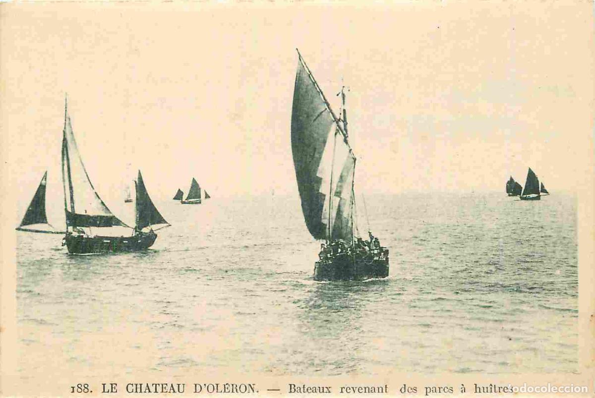 Cartoline: France - 17 - Ile d'Ol&eacute;ron - Le Ch&acirc;teau d'Ol&eacute;ron - Bateau revenant des parcs &agrave; hu&icirc;tres - CPA - Voir