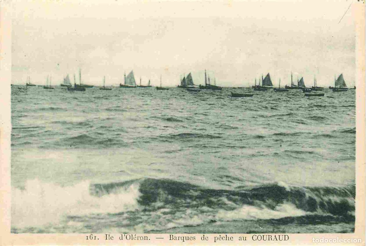 Cartoline: France - 17 - Ile d'Ol&eacute;ron - Barques de p&ecirc;che au Couraud - CPA - Voir Scans Recto-Verso