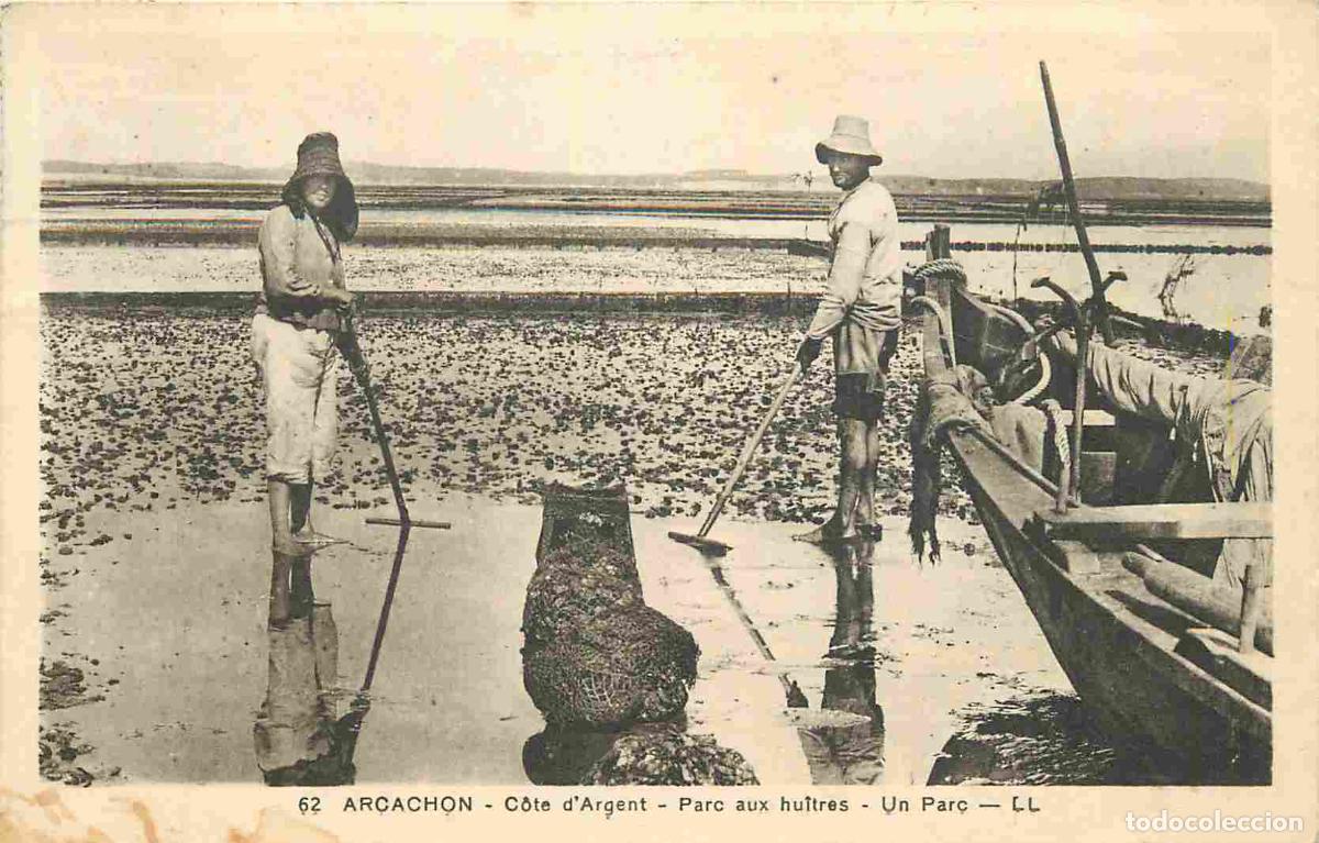 Cartoline: France - 33 - Arcachon - Parc aux huitres - Anim&eacute;e - CPA - Oblit&eacute;ration de 1936 - Voir Scans Recto-V