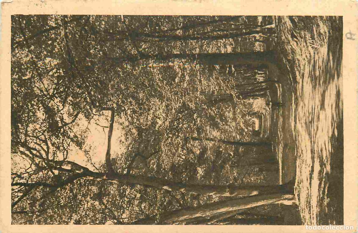 Postkarten: France - 78 - Saint Germain en Laye - La for&ecirc;t - un sous bois - CPA - Oblit&eacute;ration - Etat pli - Voir