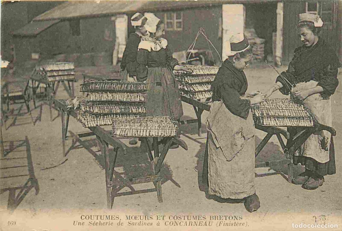 Postkarten: France - 29 - Concarneau - Une s&egrave;cherie de sardines - Anim&eacute;e - Grosse Animation - Collection Costume