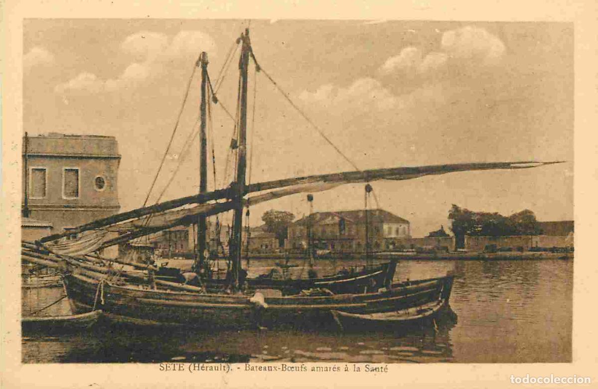 Postais: France - 34 - S&egrave;te - Bateaus b�ufs amar&eacute;s &agrave; la Sant&eacute; - CPA - Voir Scans Recto-Verso