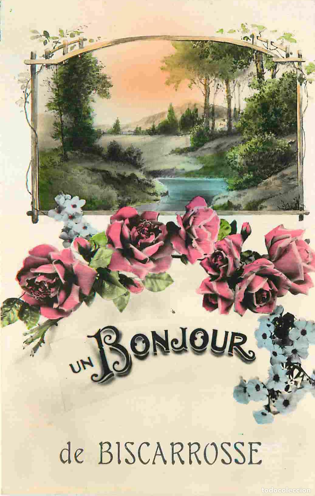 Cartes Postales: France - 40 - Biscarrosse - Un Bonjour de Biscarrosse - Fleurs - CPA - Voir Scans Recto-Verso