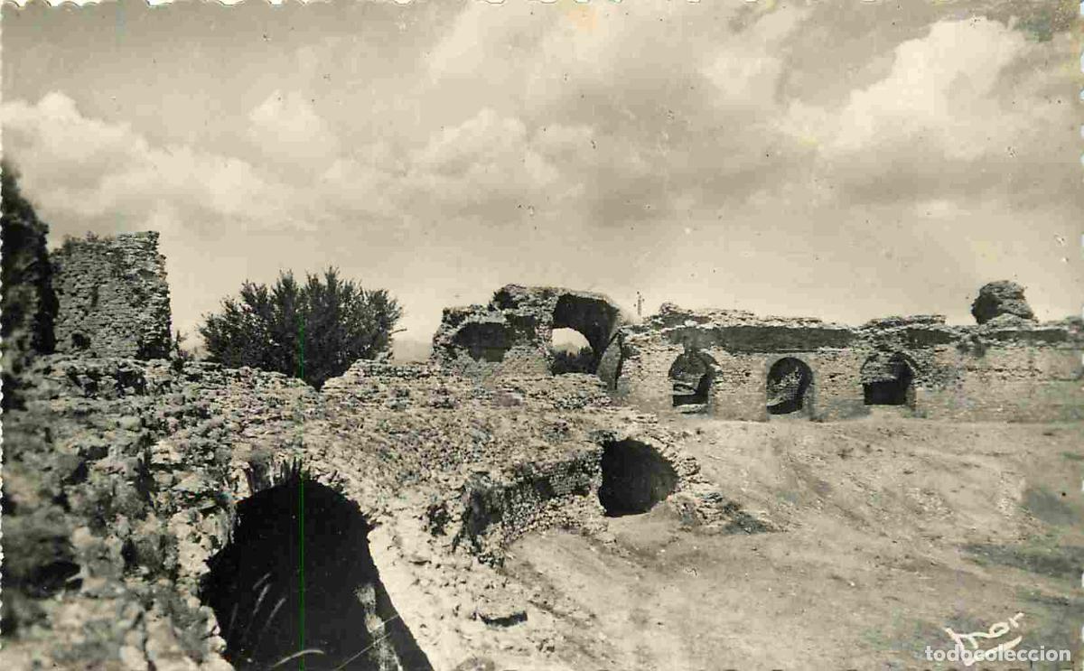 Postais: France - 83 - Fr&eacute;jus - Les Ar&egrave;nes romaines - Mention Photographie v&eacute;ritable - Carte Dentel&eacute;e - CPSM
