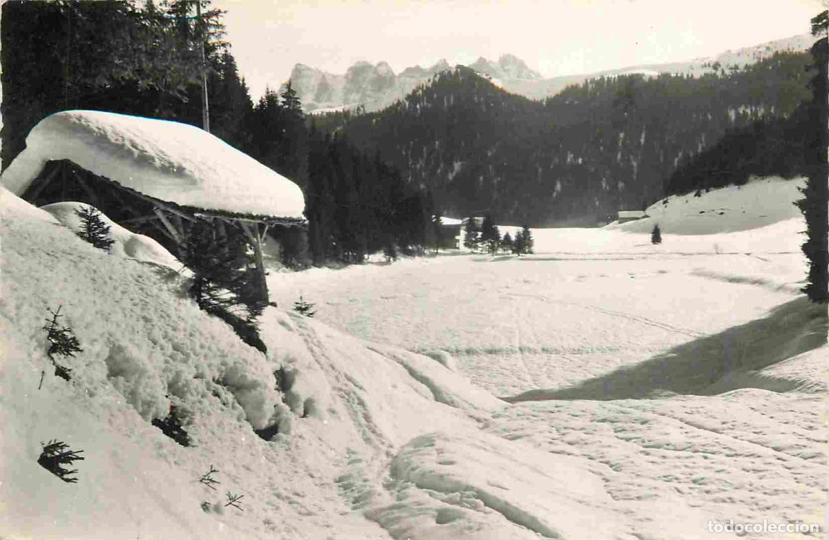 Postais: France - 74 - Chatel - Le col de Morgins et les dents du Midi - Carte Dentel&eacute;e - CPSM format CPA - O