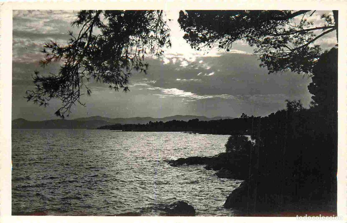 Postais: France - 06 - Cote d'Azur - Coucher de soleil - Mention Photographie v&eacute;ritable - Carte Dentel&eacute;e - CP