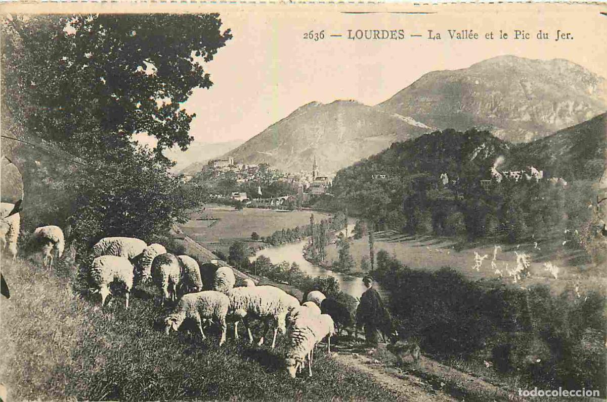 Postkarten: France - 65 - Lourdes - Ascension au Pic du Jer - La Vall&eacute;e et le Pic du Jer - Anim&eacute;e - Moutons - Ca