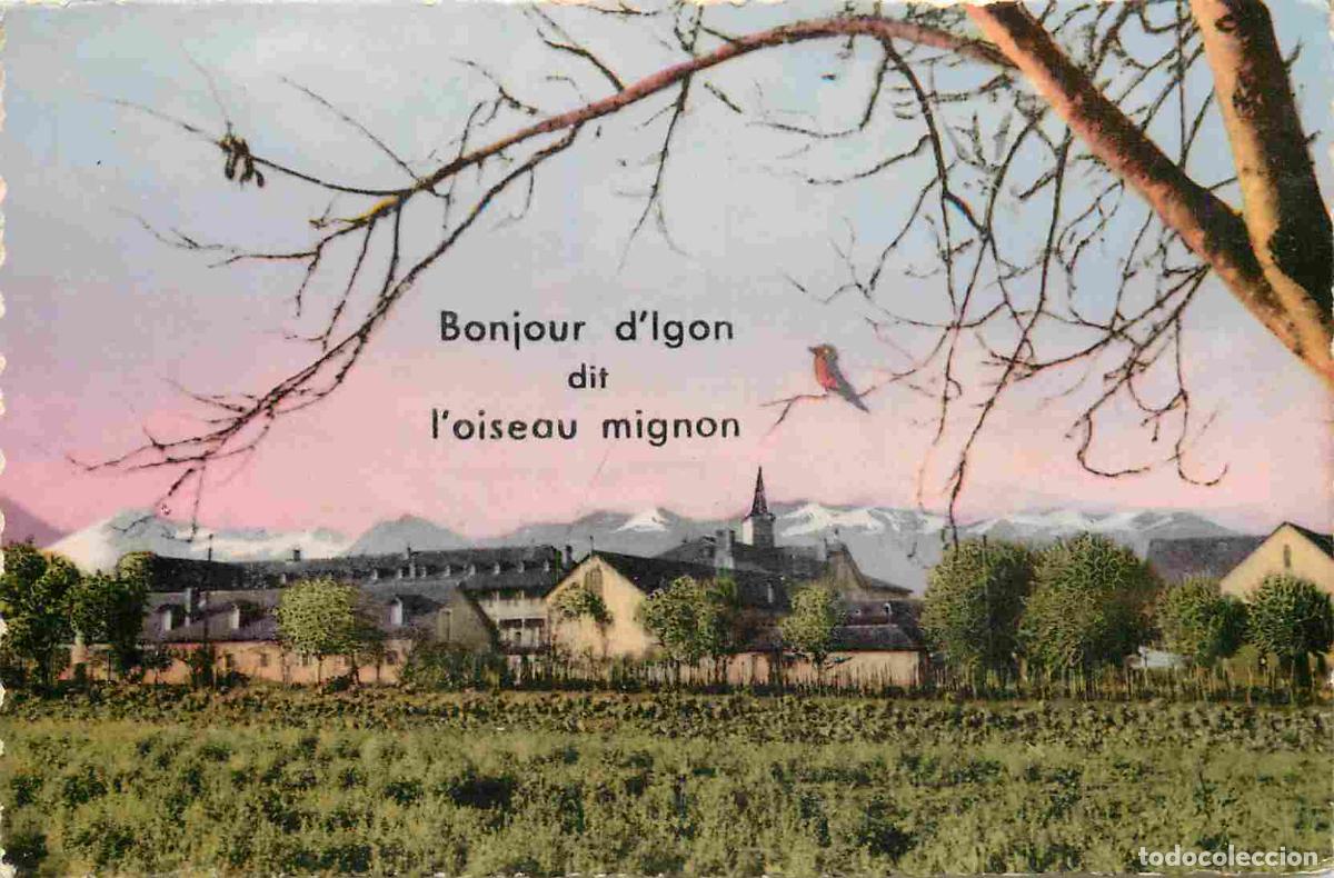 Postais: France - 64 - Igon - Bonjour d'Igon dit l'oiseau mignon - Coloris&eacute;e - Carte Dentel&eacute;e - CPSM format C