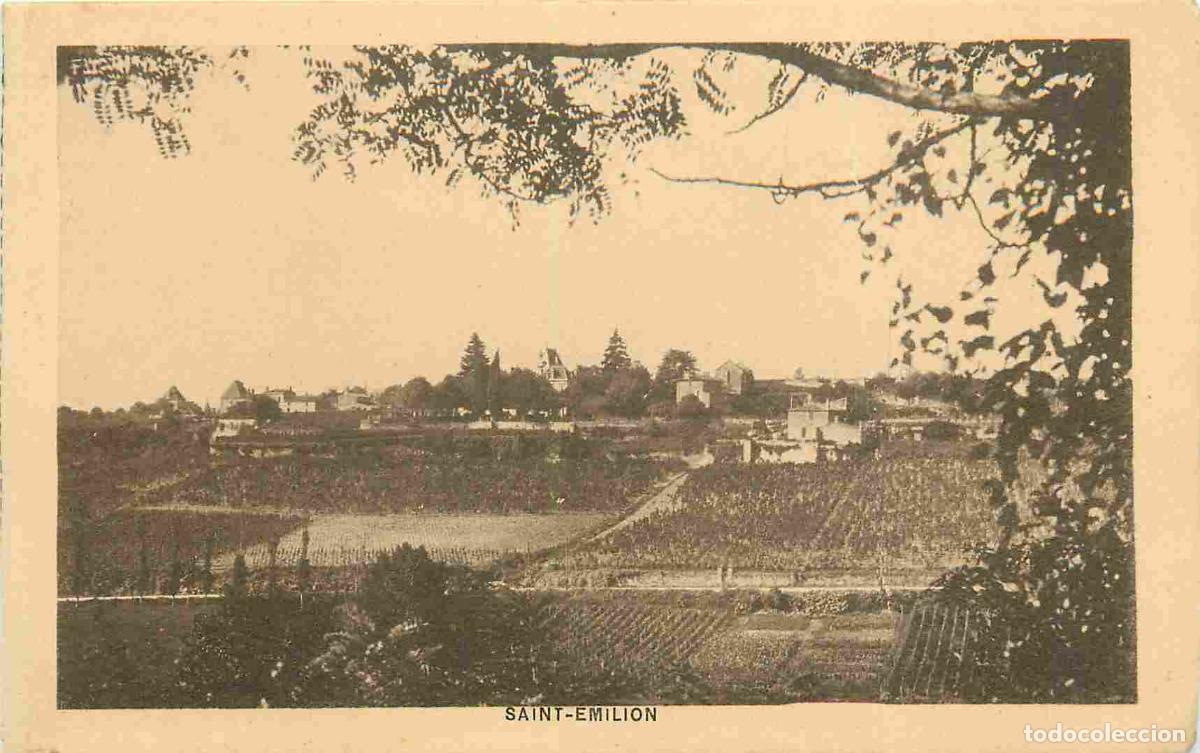 Cartes Postales: 33 - Saint-Emilion - Un coin des vignobles - CPA - Voir Scans Recto-Verso