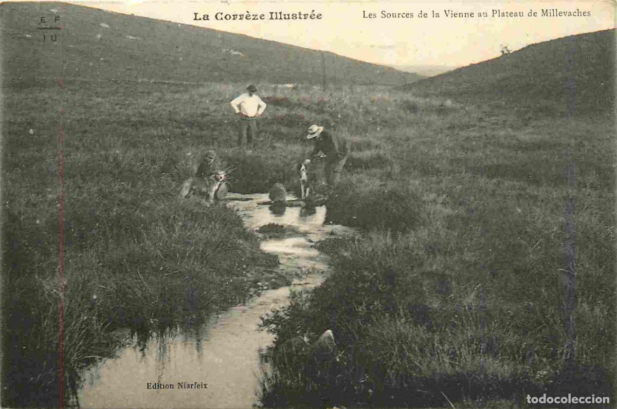 Postkarten: 19 - Millevaches - Les sources de la vienne au plateau de millevaches - Anim&eacute;e - CPA - Voir Scans Re