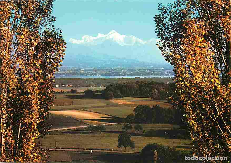 Cartoline: Francia - 01 - Divonne les Bains - Le Lac L&eacute;man - Le Mont Blanc - Carte Neuve - CPM - Voir Scans Re