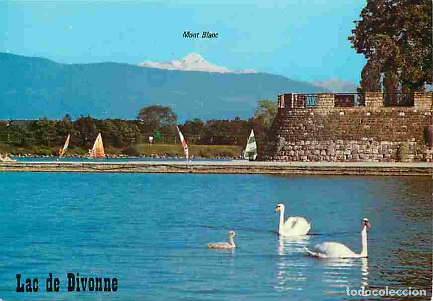 Cartoline: Francia - 01 - Divonne les Bains - Le Lac - Le Mont Blanc - Cygnes - Carte Neuve - CPM - Voir Scans