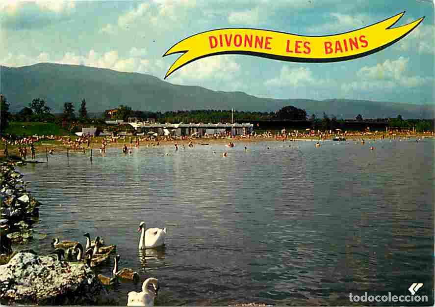 Postais: Francia - 01 - Divonne les Bains - La Plage de la Station - Cygnes - Flamme Postale - CPM - Voir Sca