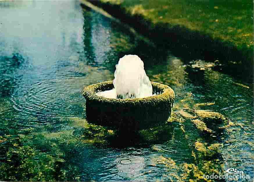 Postales: Francia - 01 - Divonne les Bains - La Source Vidart - Carte Neuve - CPM - Voir Scans Recto-Verso