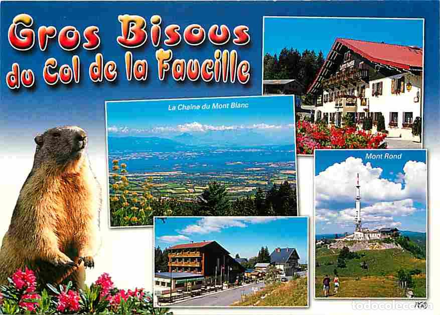 Postkarten: Francia - 01 - Le Col de la Faucille - Multivues - Marmottes - CPM - Voir Scans Recto-Verso
