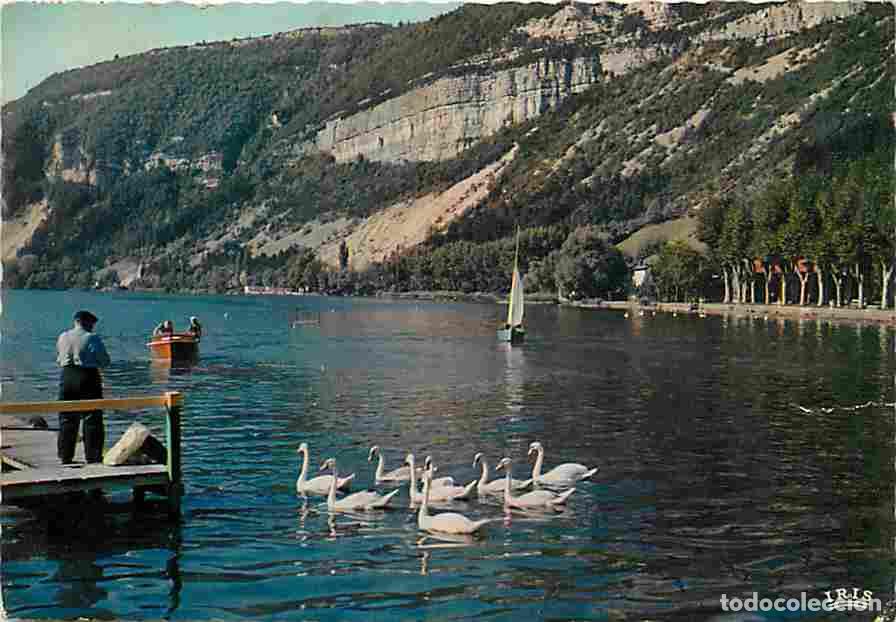 Postkarten: Francia - 01 - Nantua - Le Lac de Nantua - Cygnes - Flamme Postale - CPM - Voir Scans Recto-Verso