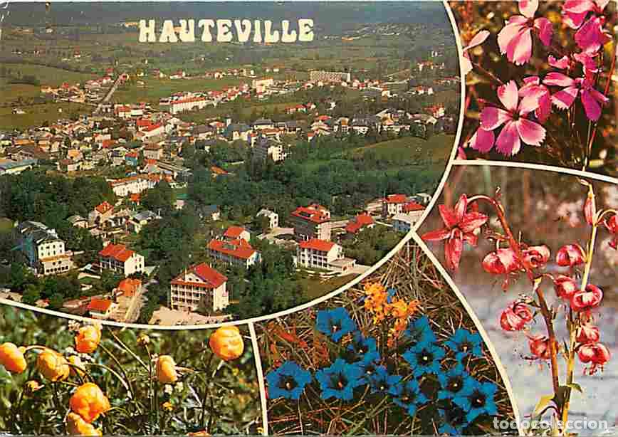 Postkarten: Francia - 01 - Hauteville Lompn&egrave;s - Multivues - Fleurs - CPM - Voir Scans Recto-Verso