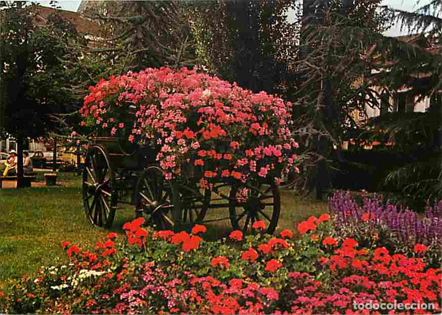 Postkarten: Francia - 01 - Chatillon sur Chalaronne - Ville Fleurie - Fleurs - CPM - Voir Scans Recto-Verso