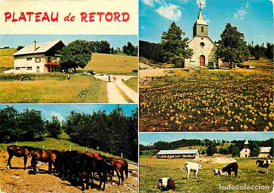 Postais: Francia - 01 - Plateau de Retord - Multivues - Vaches - Chevaux - CPM - Voir Scans Recto-Verso