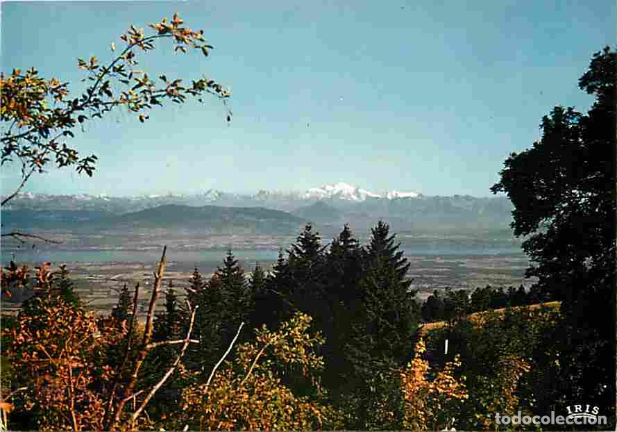 Postais: Francia - 01 - Le Col de la Faucille - Le Mont Blanc - Le Lac L&eacute;man - Carte Neuve - CPM - Voir Scans