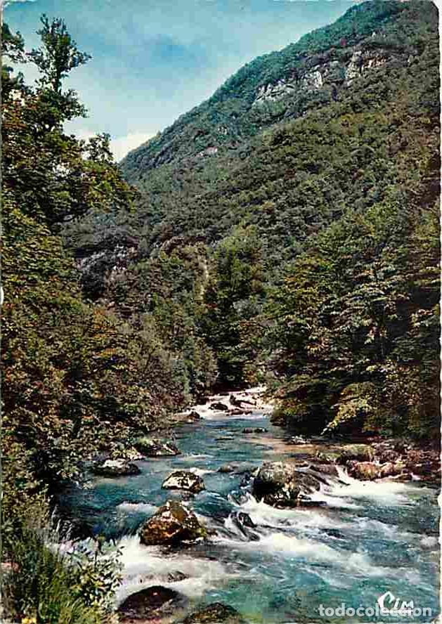Postais: Francia - 01 - Ain - L'Albarine entre Tenay et Hauteville - Carte Neuve - CPM - Voir Scans Recto-Ver