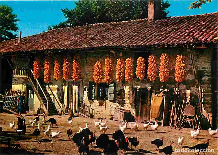 Postkarten: Francia - 01 - Ain - Bresse - Ferme Bressane - Poules - Dindes - Carte Neuve - CPM - Voir Scans Rect