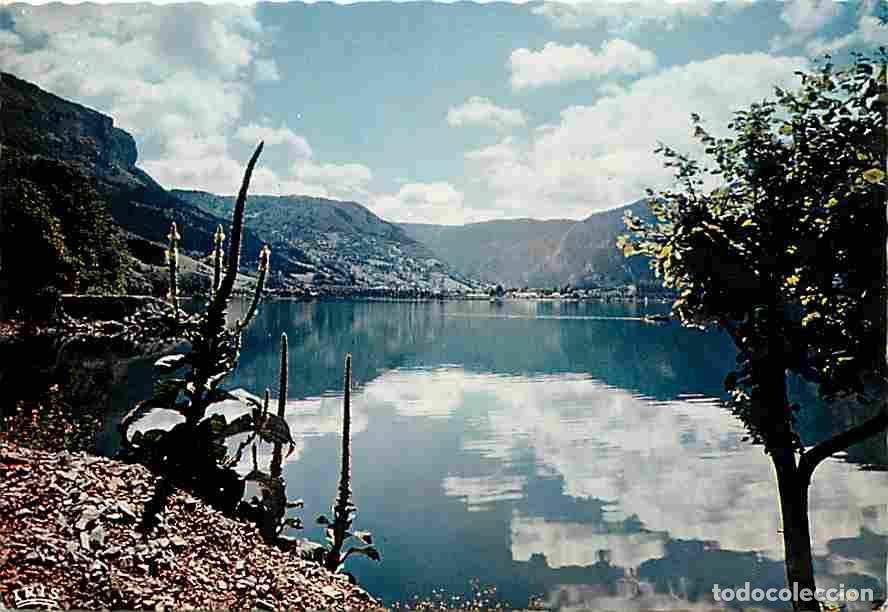 Postkarten: Francia - 01 - Nantua - Un coin du Lac - CPM - Voir Scans Recto-Verso