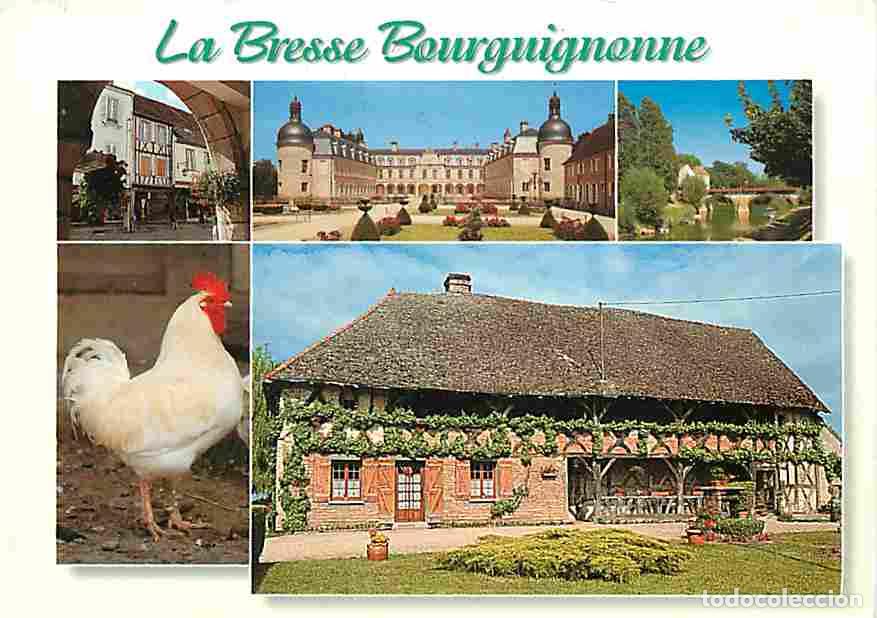Postkarten: Francia - 01 - Ain - La Bresse - Multivues - Coq - Ferme Bressane - Flamme Postale - CPM - Voir Scan