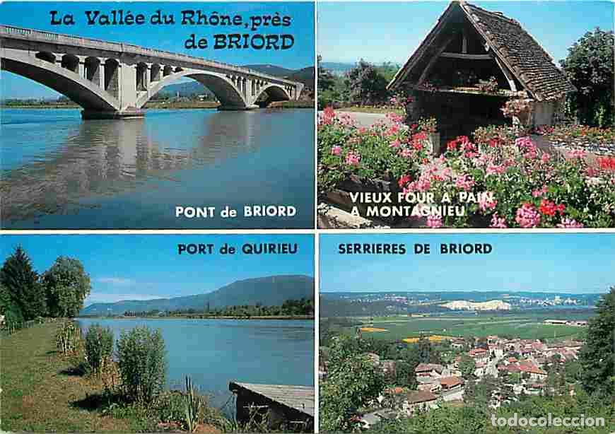 Postkarten: Francia - 01 - Briord - La Vall&eacute;e du Rhones pr&egrave;s de Briord - Multivues - CPM - Voir Scans Recto-Vers