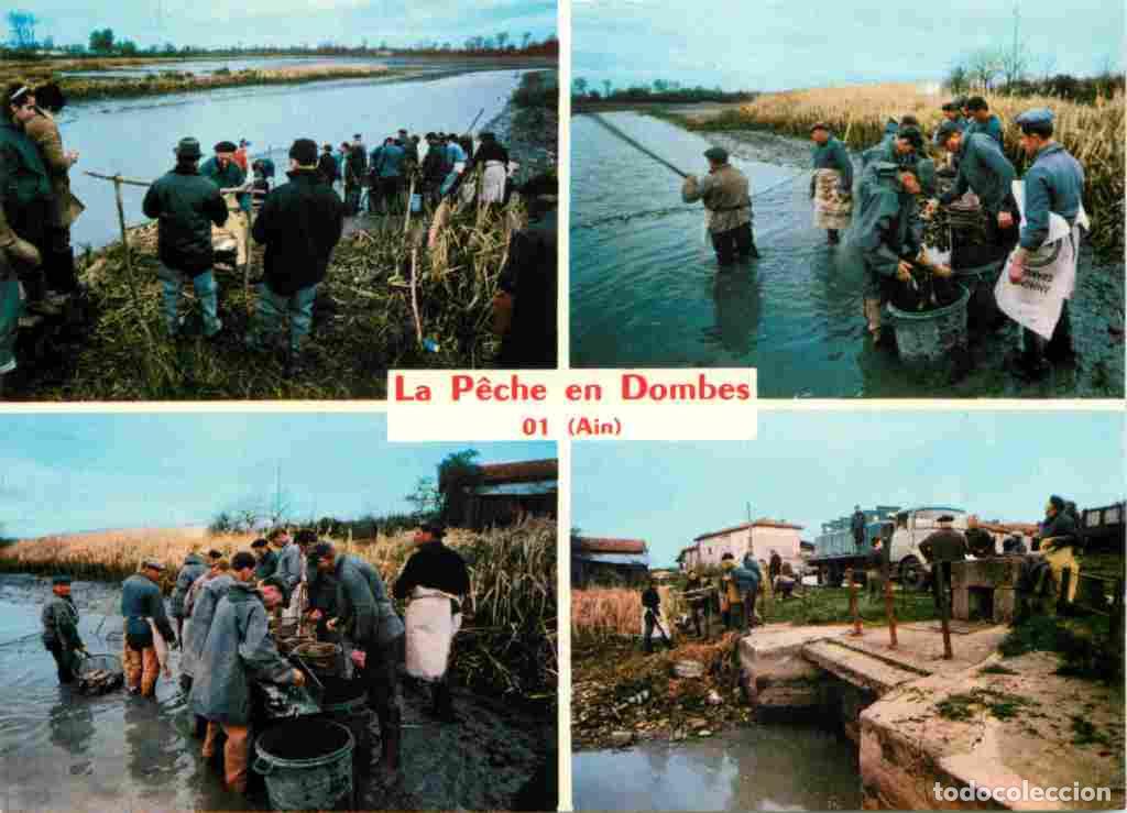 Postkarten: Francia - 01 - Ain - Les Dombes - La P&ecirc;che en Dombes - Multivues - CPM - Voir Scans Recto-Verso