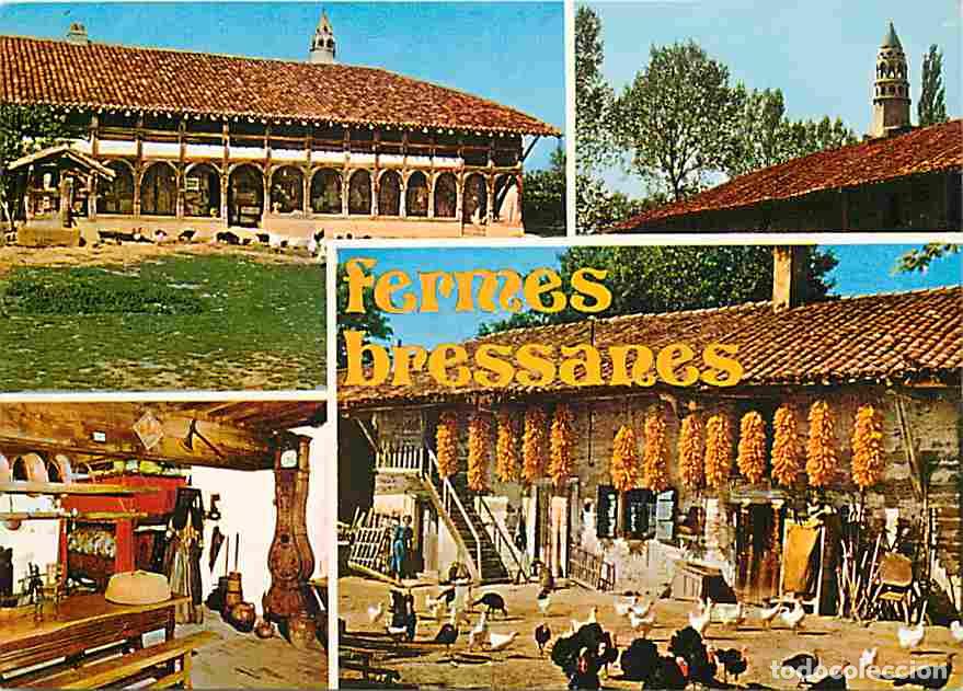 Postais: Francia - 01 - Ain - Bresse - Fermes Bressanes - Multivues - Poules - Dindes - Carte Neuve - CPM - V