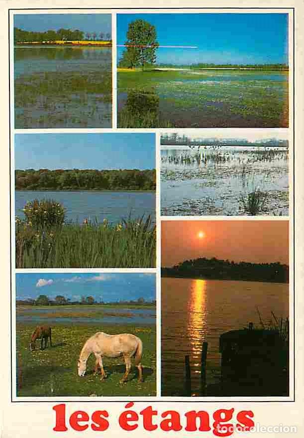 Postais: Francia - 01 - Ain - Etangs des Dombes - Multivues - Chevaux - CPM - Voir Scans Recto-Verso