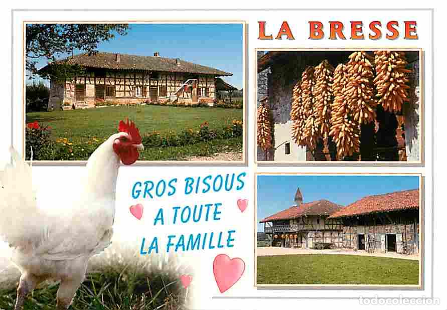 Postais: Francia - 01 - Ain - La Bresse - Multivues - Coq - Ferme Bressane - Blasons - Carte Neuve - CPM - Vo