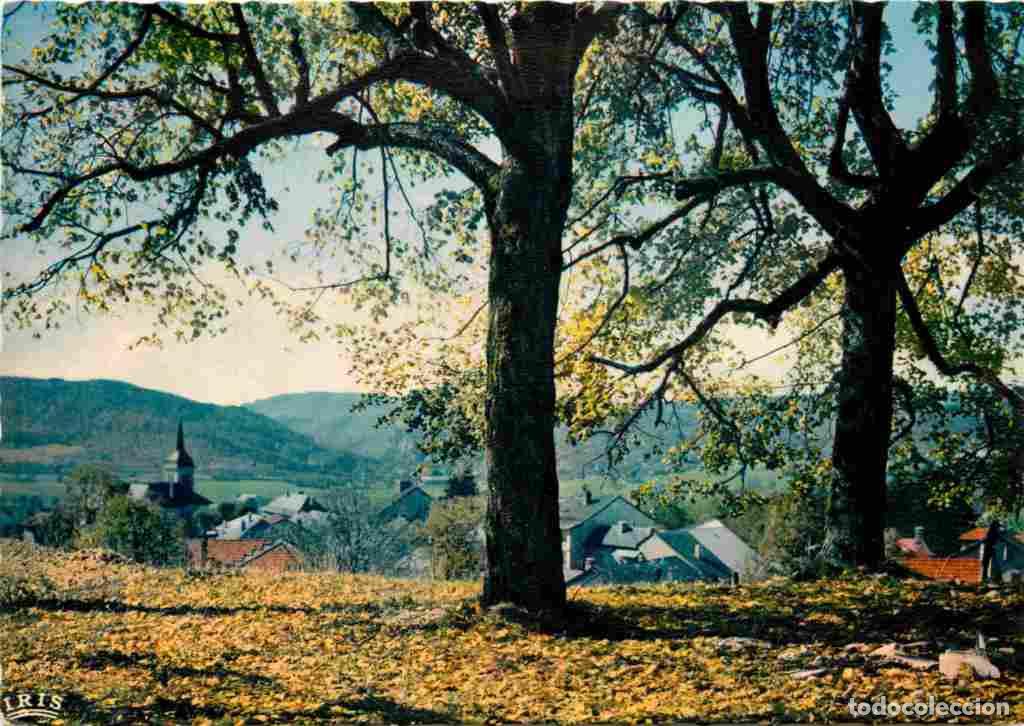 Postkarten: Francia - 01 - Hauteville Lompn&egrave;s - Vue G&eacute;n&eacute;rale - Carte Dentel&eacute;e - CPSM grand format - Voir Scans R