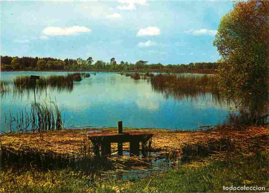 Postkarten: Francia - 01 - Ain - Les Dombes - Un &eacute;tang des Dombes - CPM - Voir Scans Recto-Verso