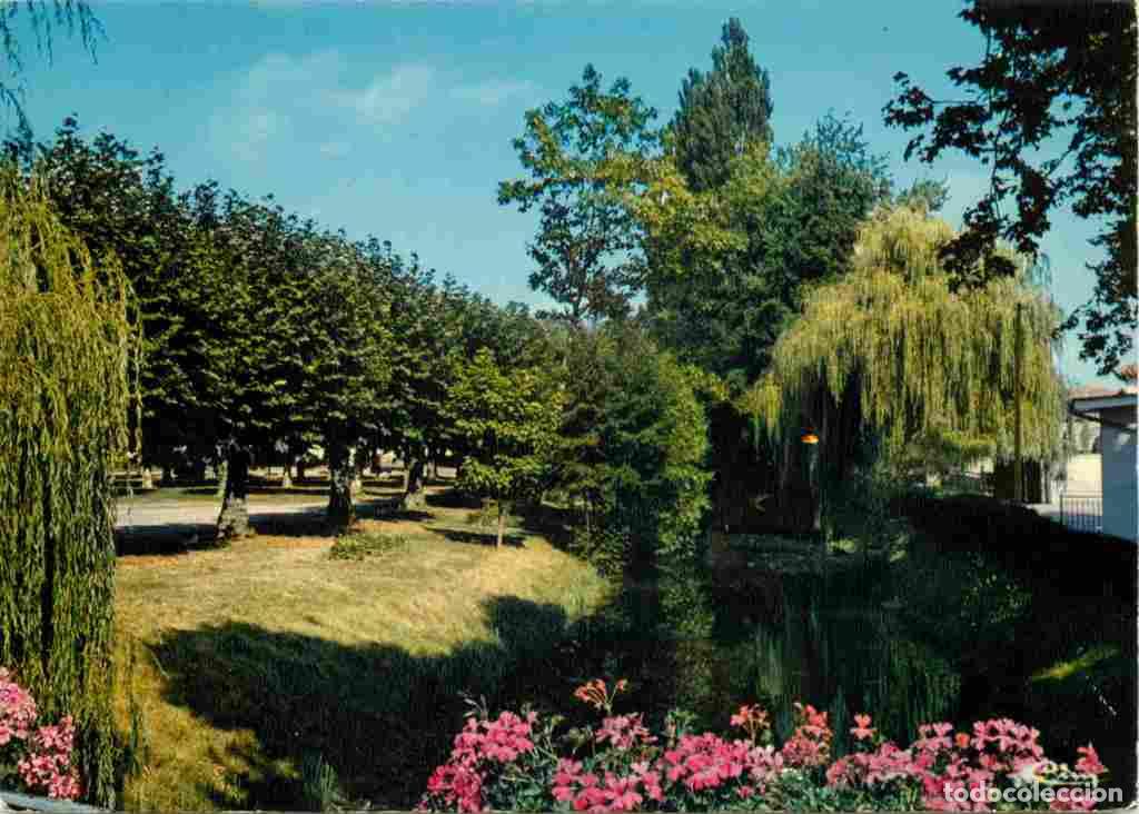 Postkarten: Francia - 01 - Vonnas - La rivi&egrave;re morte - Fleurs - CPM - Voir Scans Recto-Verso