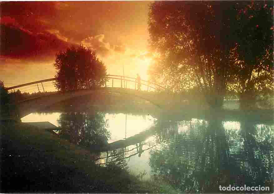 Cartoline: Francia - 03 - Vichy - Coucher de Soleil sur le pont japonais - Carte Neuve - CPM - Voir Scans Recto