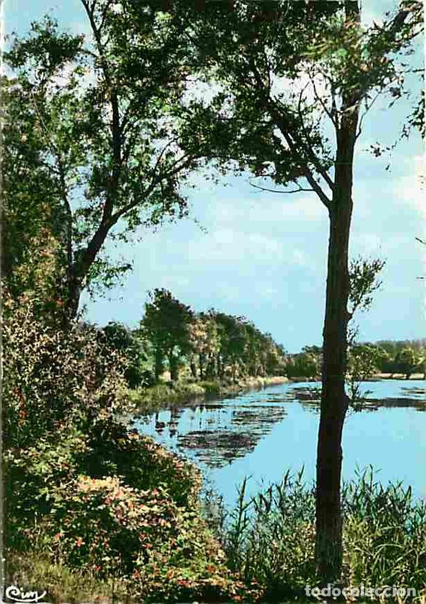Cartoline: Francia - 02 - Soissons - Les bords de l'Aisne - CPM - Voir Scans Recto-Verso