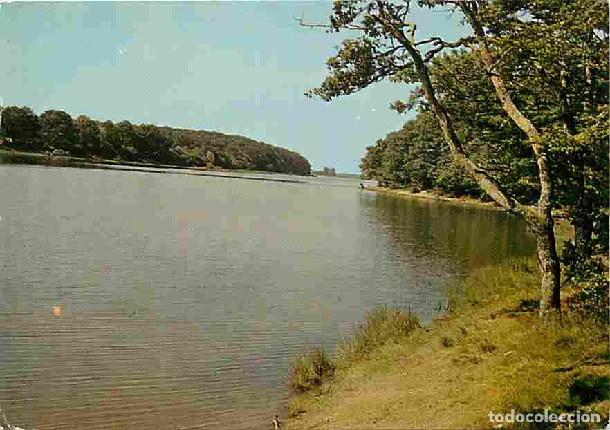 Cartes Postales: Francia - 03 - Foret de Tron&ccedil;ais - Etang de Pirot - CPM - Voir Scans Recto-Verso