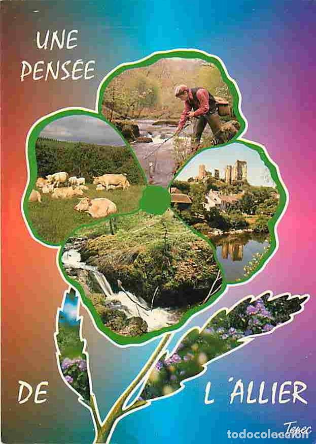 Postais: Francia - 03 - Allier - Une pens&eacute;e de l'Allier - Multivues - Vaches - CPM - Voir Scans Recto-Verso
